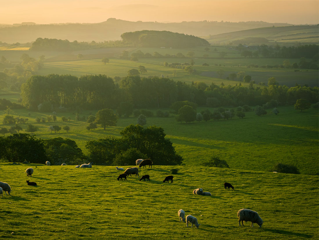 esg-in-property-management-a-comprehensive-guide-for-uk-professionals